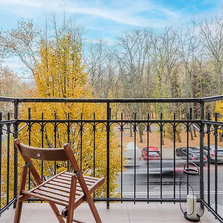 Shortstaypoland Szara B170 *