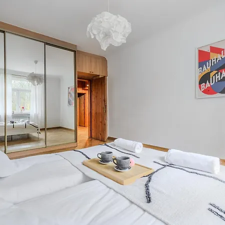 Shortstaypoland Szara B170