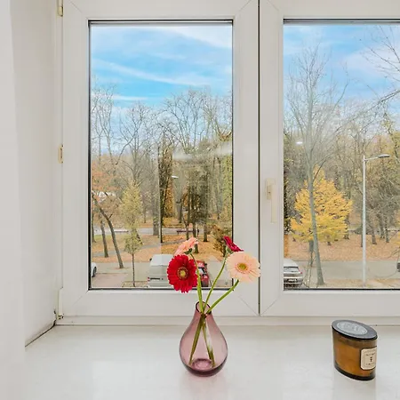 Shortstaypoland Szara B170 *