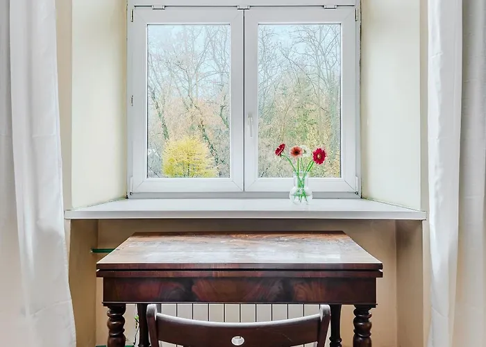 Shortstaypoland Szara B170 *