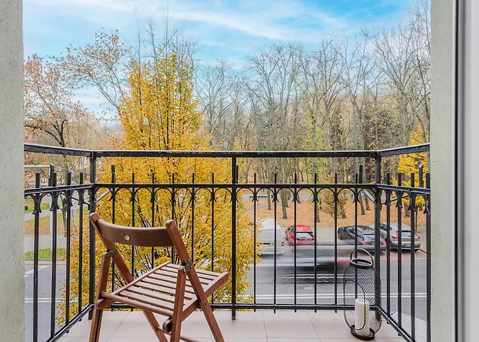 Shortstaypoland Szara B170 *