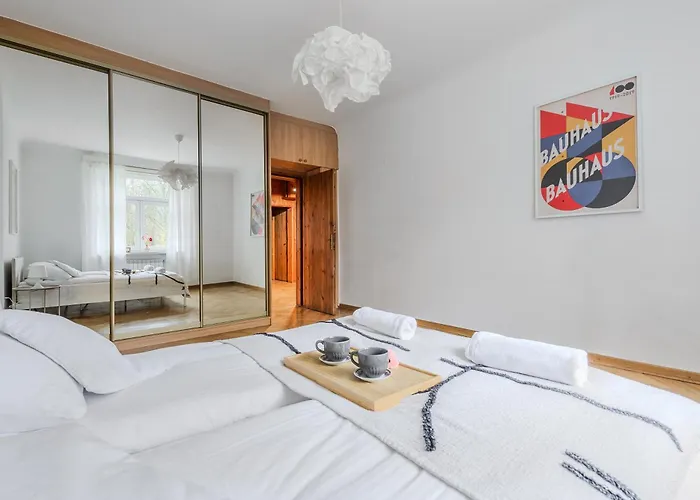 Shortstaypoland Szara B170