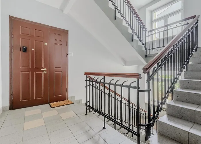 Shortstaypoland Szara B170 *