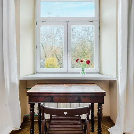 Shortstaypoland Szara B170 *