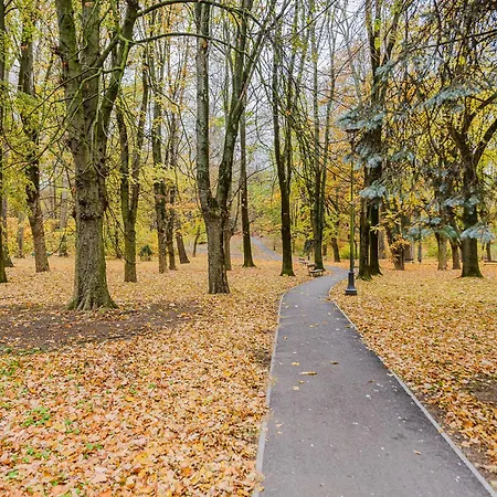 Shortstaypoland Szara B170 * ワルシャワ