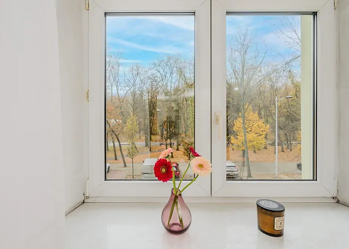 Shortstaypoland Szara B170 *