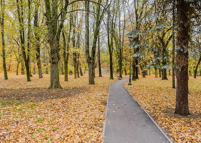 Shortstaypoland Szara B170 * Warsaw